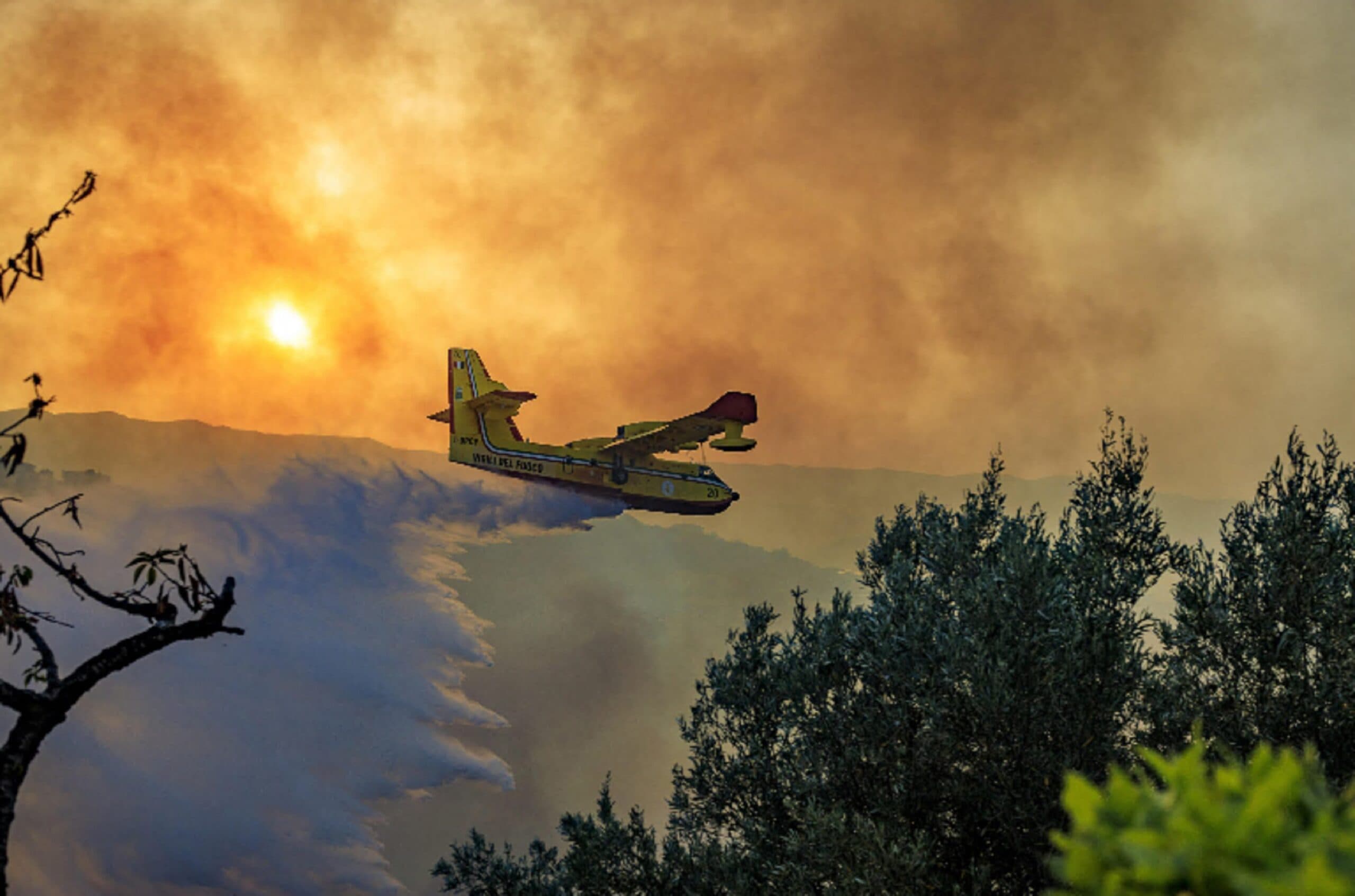 Incendi in Sicilia, roghi dal Trapanese al Messinese: gente in fuga dalle villette nel Palermitano