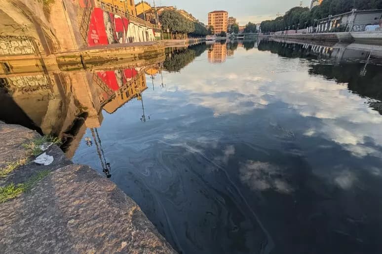 La chiazza di gasolio nel Naviglio è lunga 28 km e ha raggiunto la Darsena. "Danni pesanti alla biodiversità"
