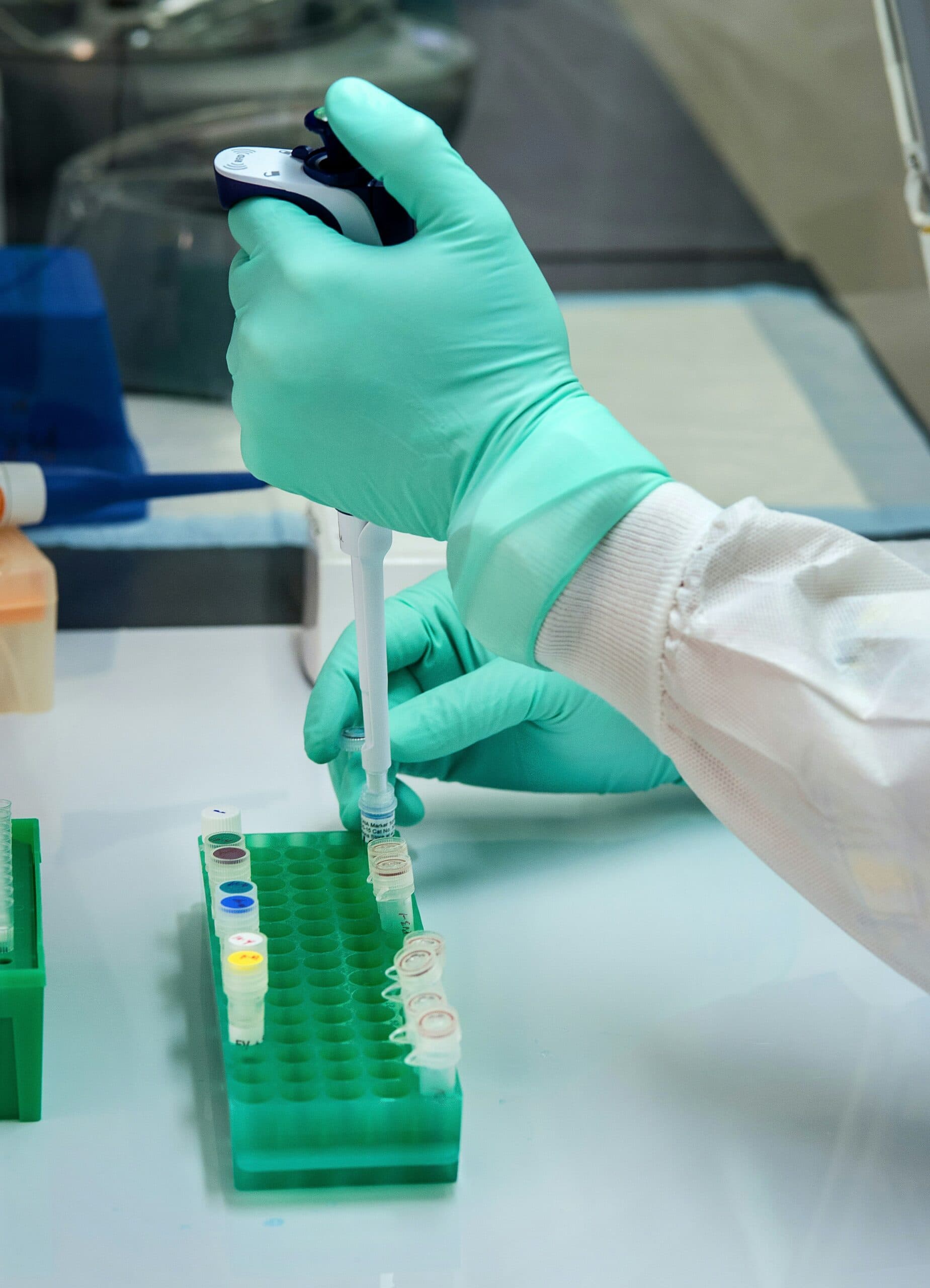 Virus Shamonda, gli esperti italiani lanciano l'appello: «Rafforzare la sorveglianza»