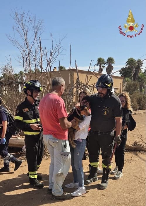 Tromba marina a Marsala, cane estratto da sotto macerie