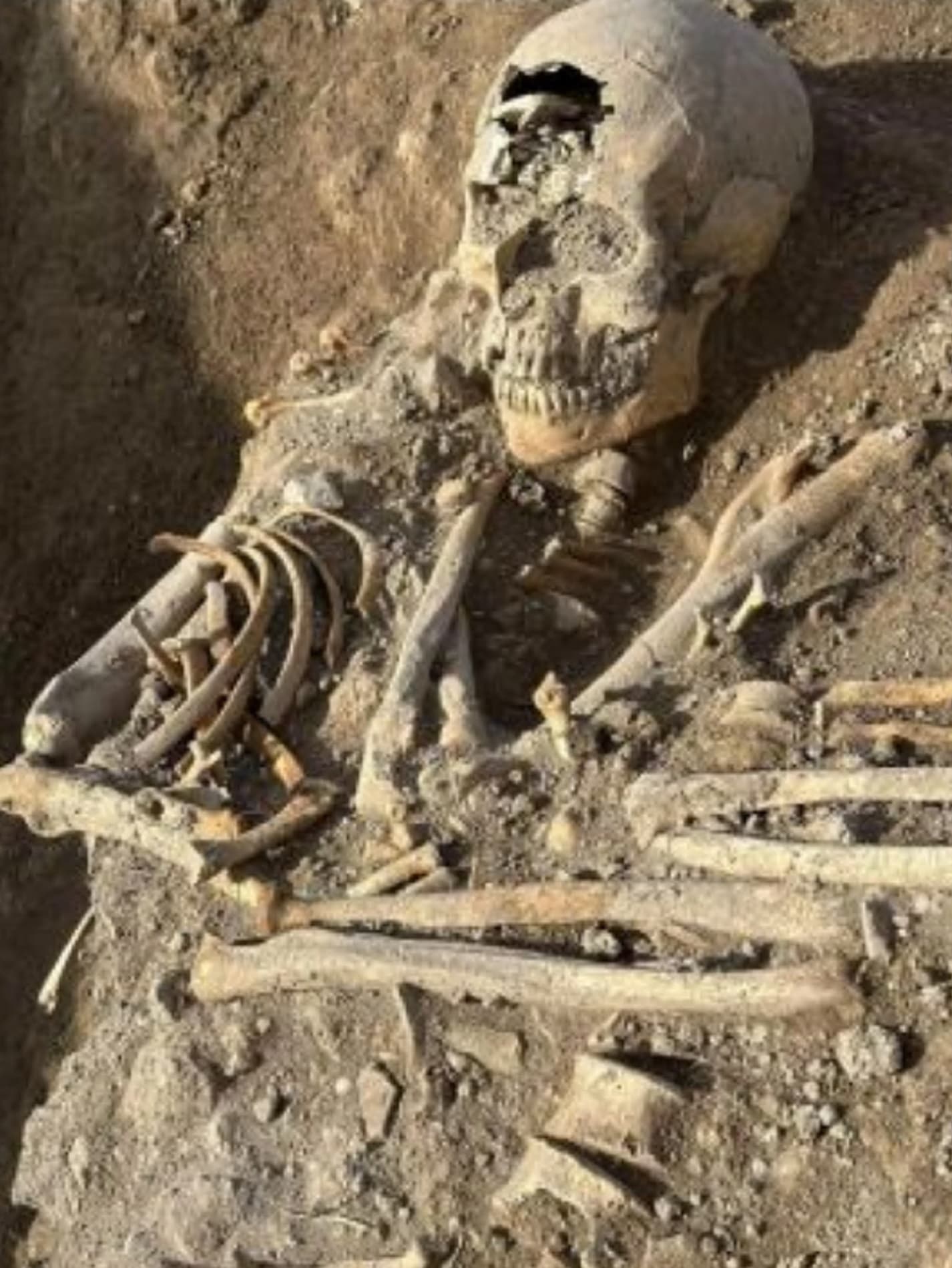 Sepolti insieme da 800 anni, una donna stringe ancora un bambino: la scoperta a Siponto