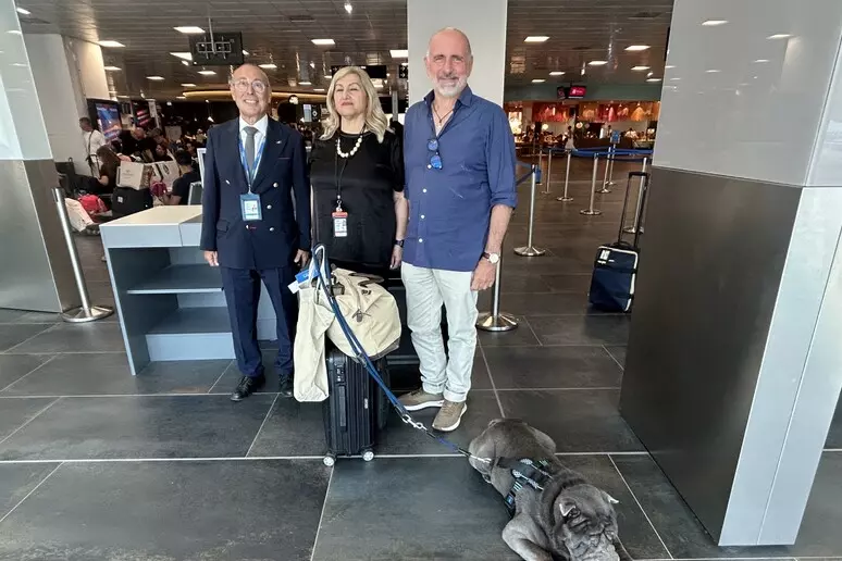 Primo volo ITA Airways per cani di grande taglia: lo Sharpei "Geppino" vola da Palermo a Milano