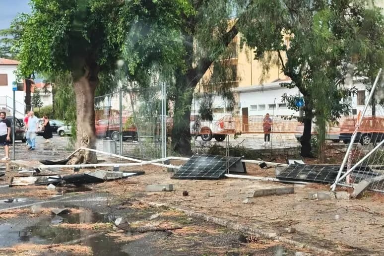 Tromba d'aria a Policoro, decine di alberi abbattuti. Il sindaco: "Un evento eccezionale, mai vissuto in città"