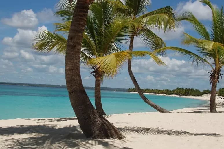 Incendio in un resort della Repubblica Dominicana, morta una donna italiana. Coinvolti oltre 280 connazionali
