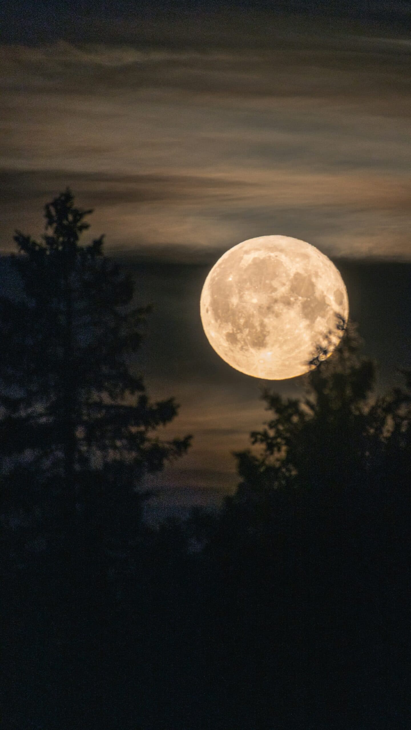 Luna piena di settembre, sabato la Luna del Raccolto: a che ora vederla
