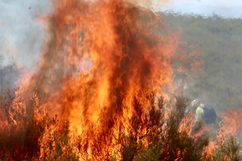 Maxi incendi tra Francia e Spagna, oltre 220mila evacuati: l'esercito in campo, Madrid dichiara l'emergenza nazionale