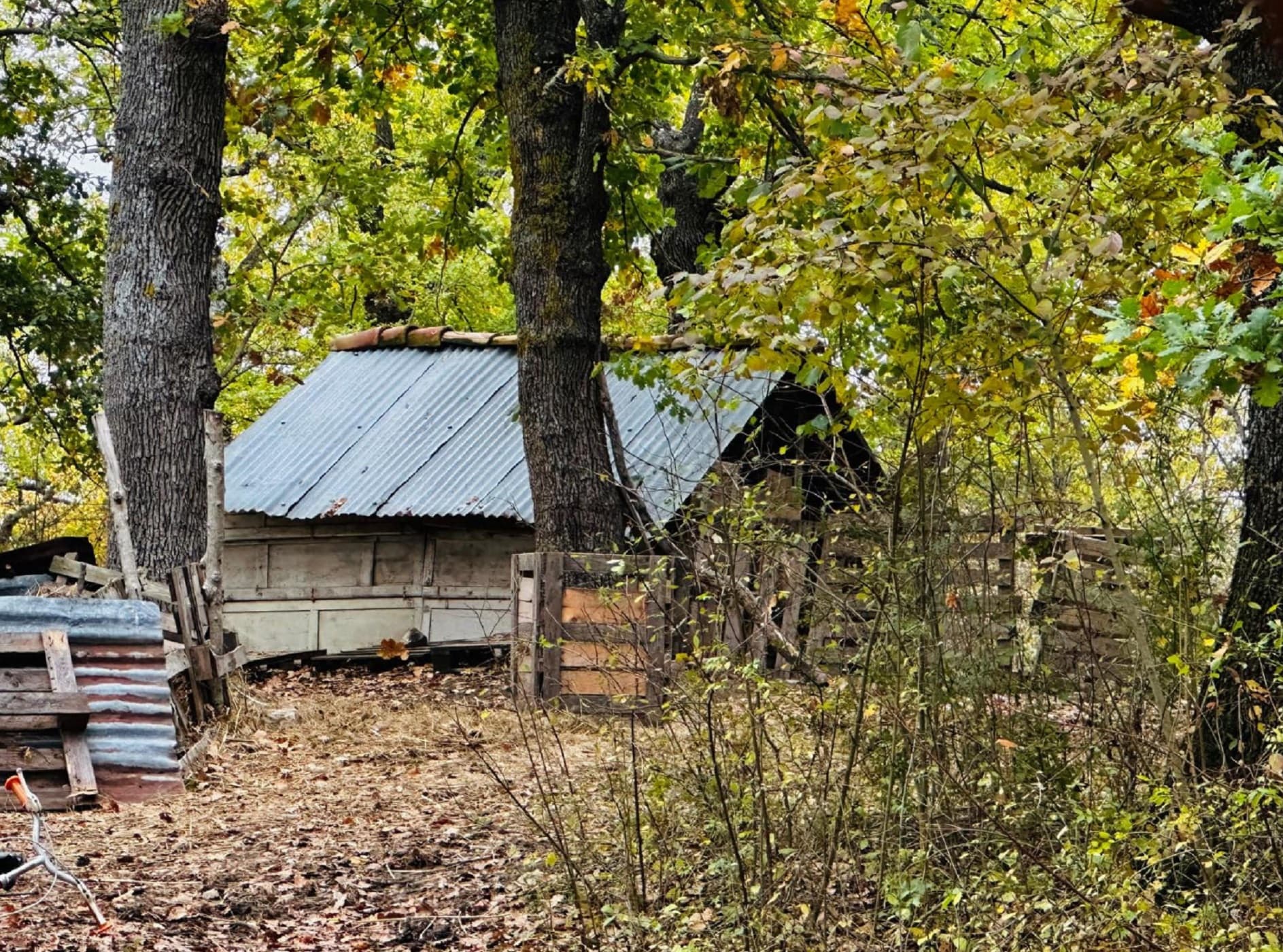 Famiglia del bosco di Palmoli: la Corte d’Appello valuta il ricorso, appello del Garante alla tutela dei minori