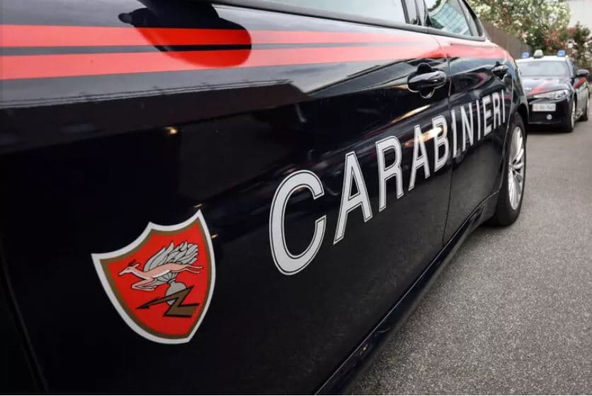 Aggredito e ucciso da due Rottweiler nelle campagne di Nardò: indagato il proprietario dei cani
