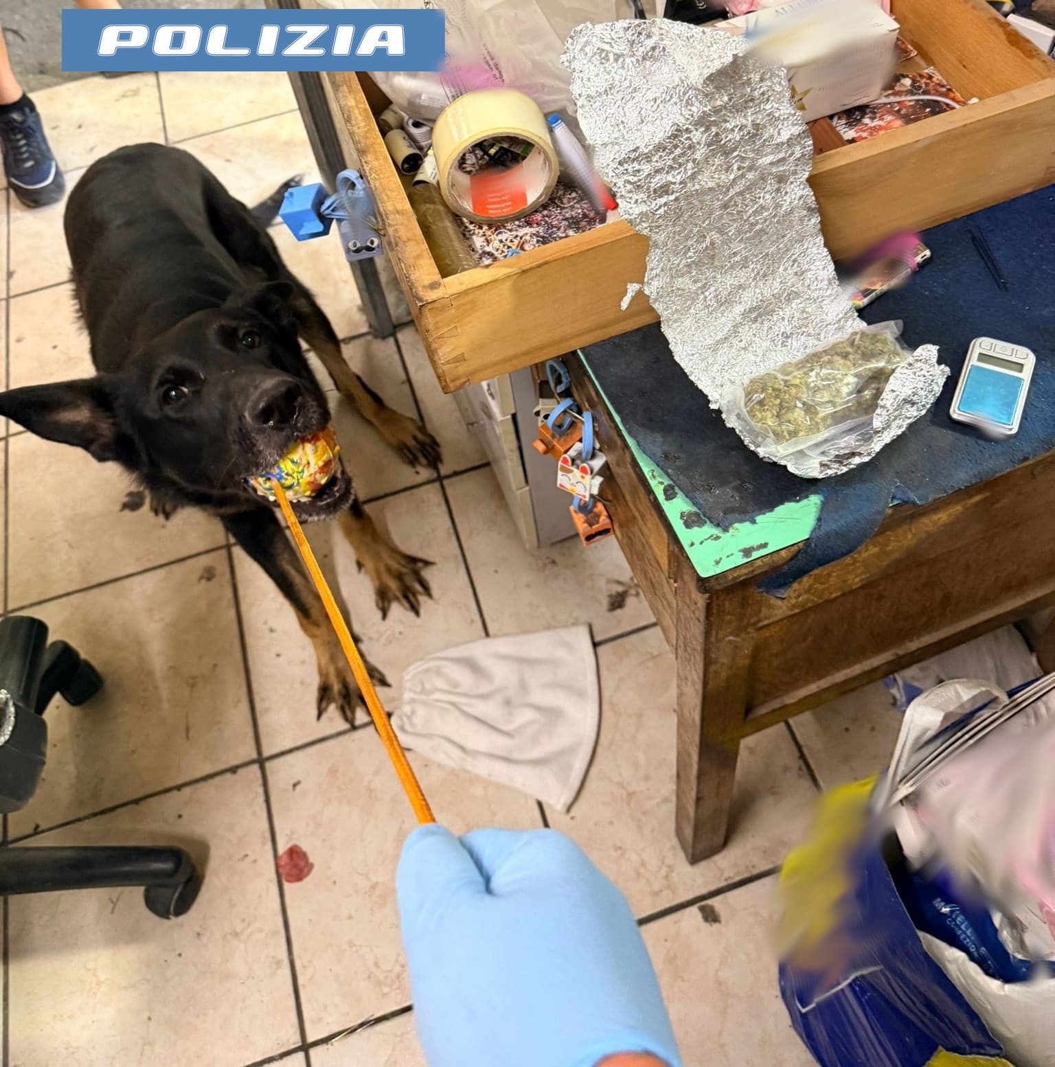 Un semplice messaggio sull'app, poi il blitz: scoperto un deposito di marijuana e cocaina a Catania