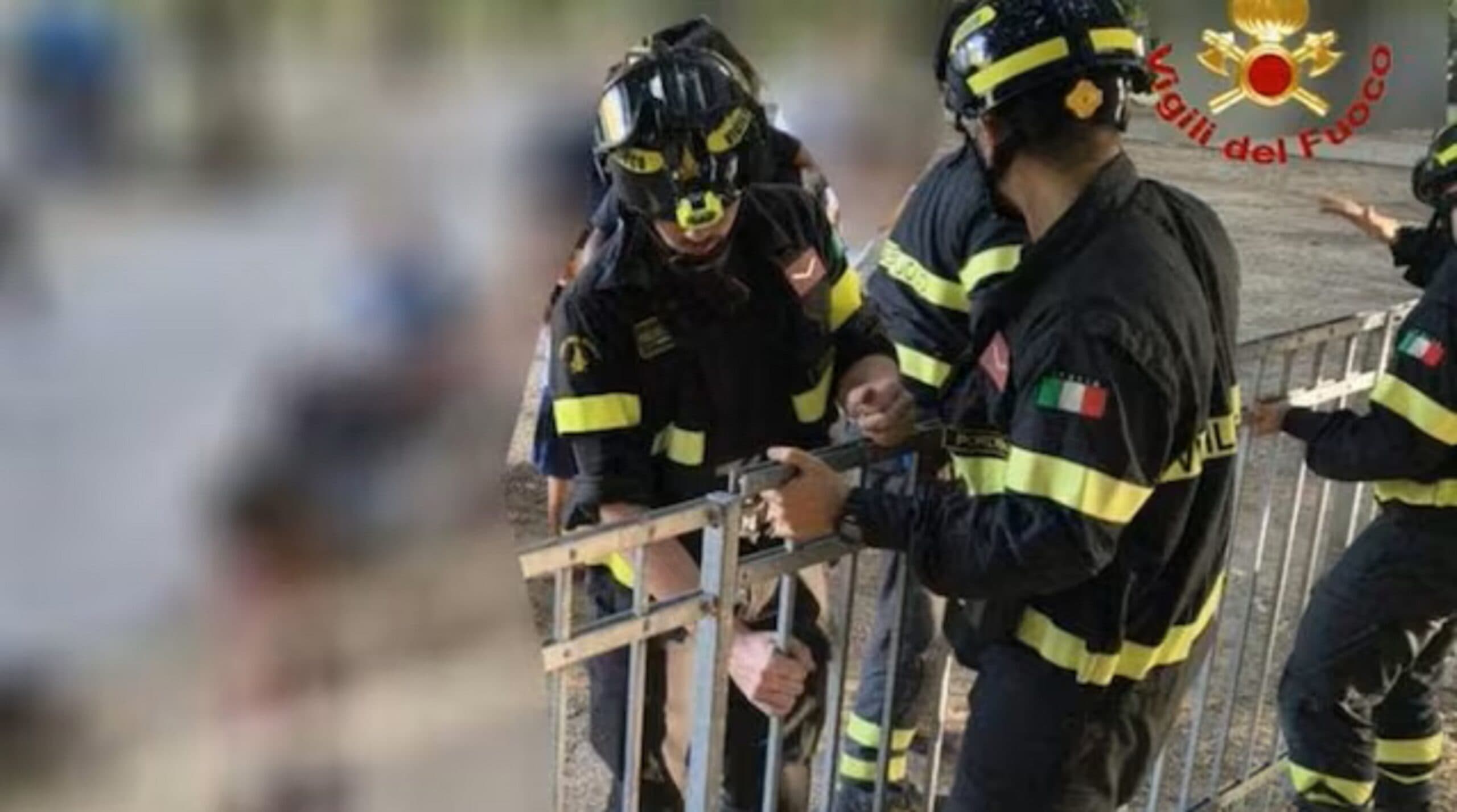 Bambino con la testa incastrata nell'inferriata al parco giochi, liberato dai vigili del fuoco a Pordenone