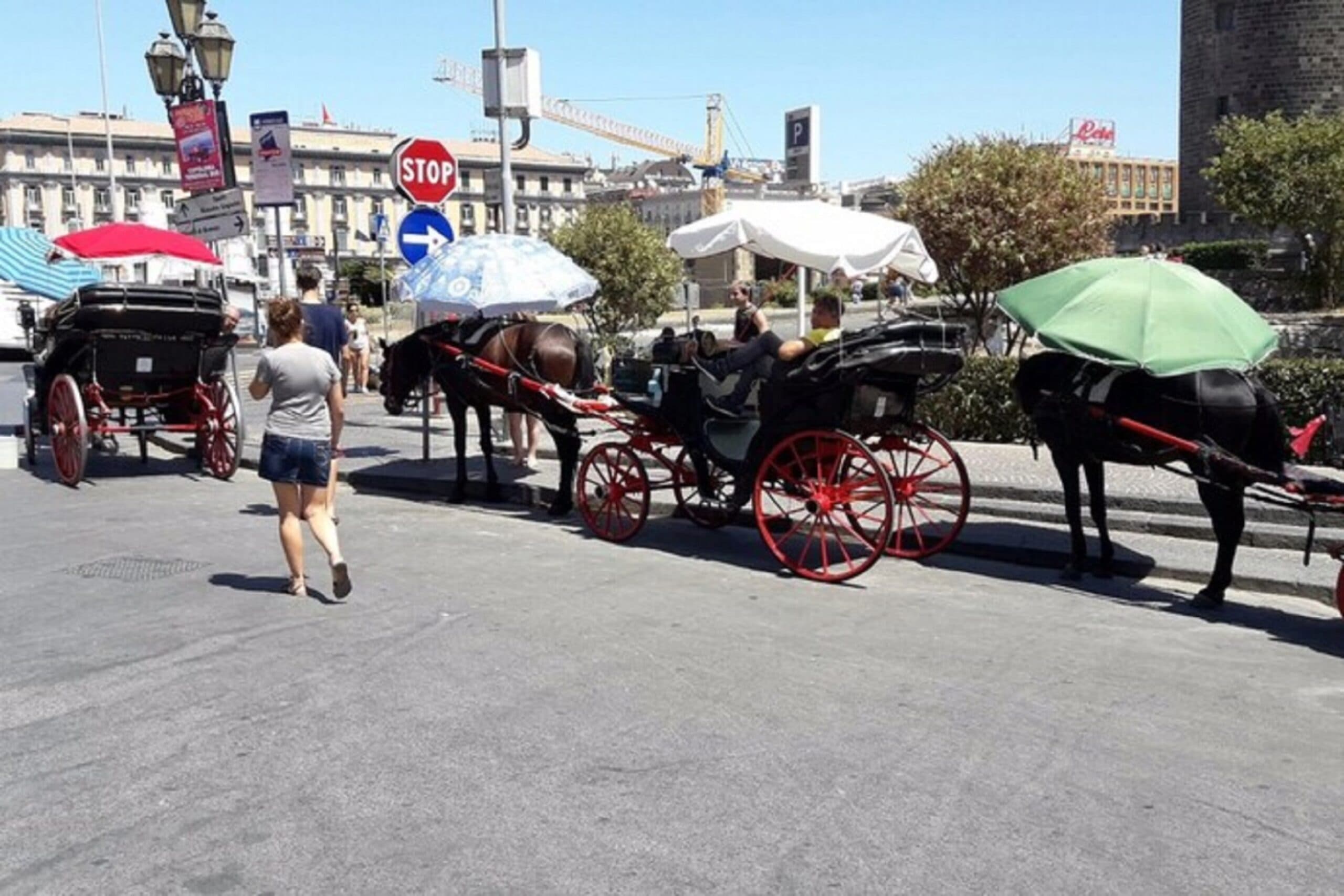 Palermo dice addio alle carrozze con i cavalli: arrivano quelle elettriche