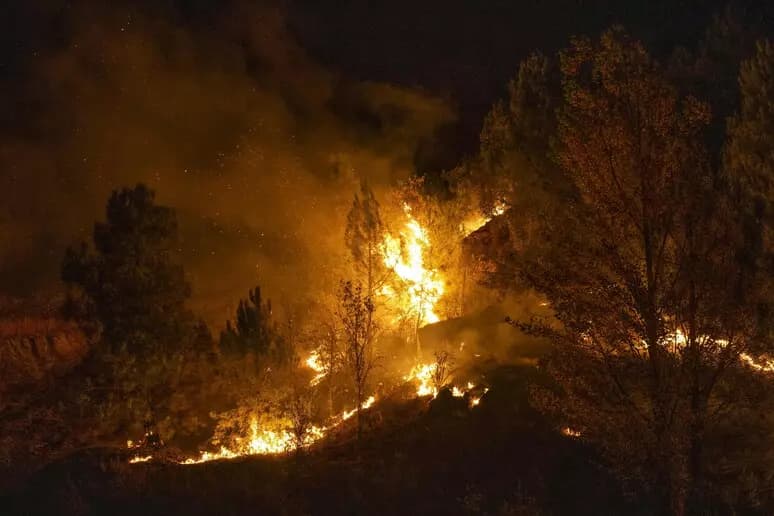 Maxi incendio in Andalusia, oltre 150 chiamate ai soccorsi: «Forse causato da un cavo elettrico». Dodici le vittime