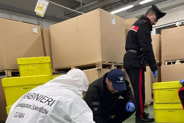 Falso pacco bomba a Catania, centro postale bloccato per ore: paura nella zona industriale