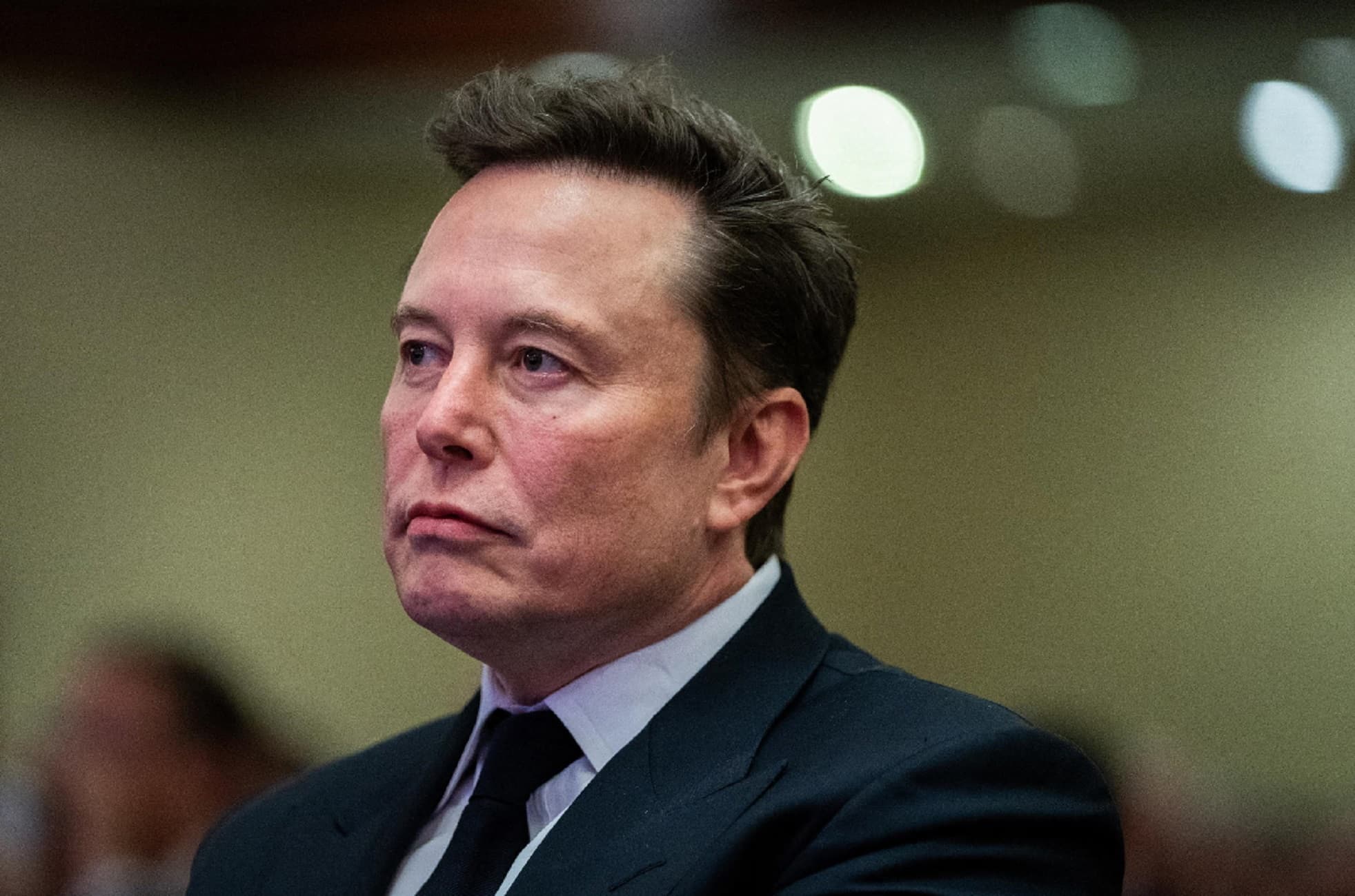 Elon Musk difende Roggero: "E' follia, giudice e pm dovrebbero essere condannati"