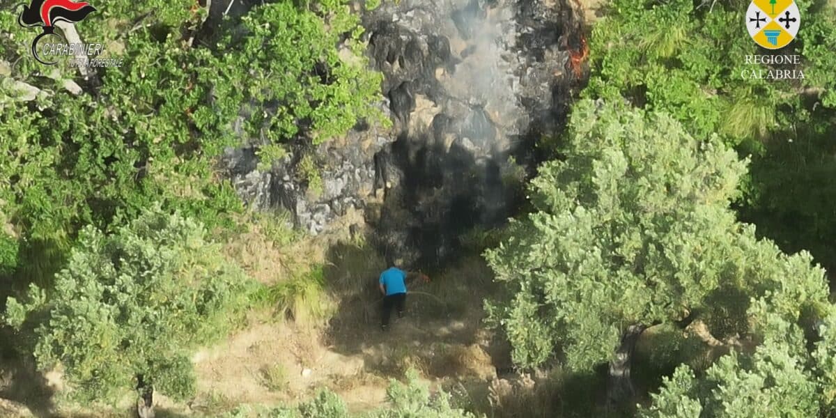 Beccato dal drone della Regione mentre appicca il fuoco: denunciato incendiario a Cleto