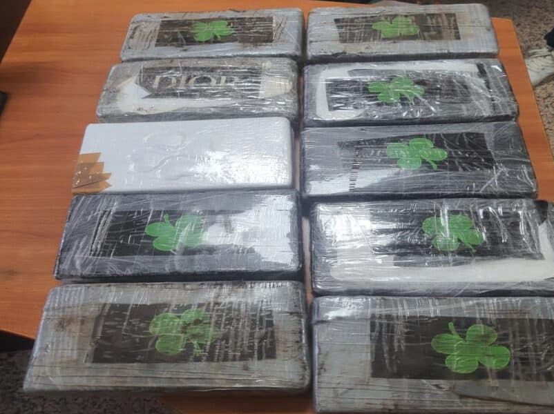 Palermo, la cocaina dalla Calabria con il marchio del delfino
