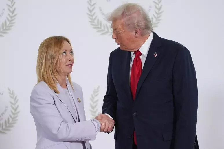 Meloni al New York Times: "Ho creduto che con Trump le cose sarebbero state più facili"