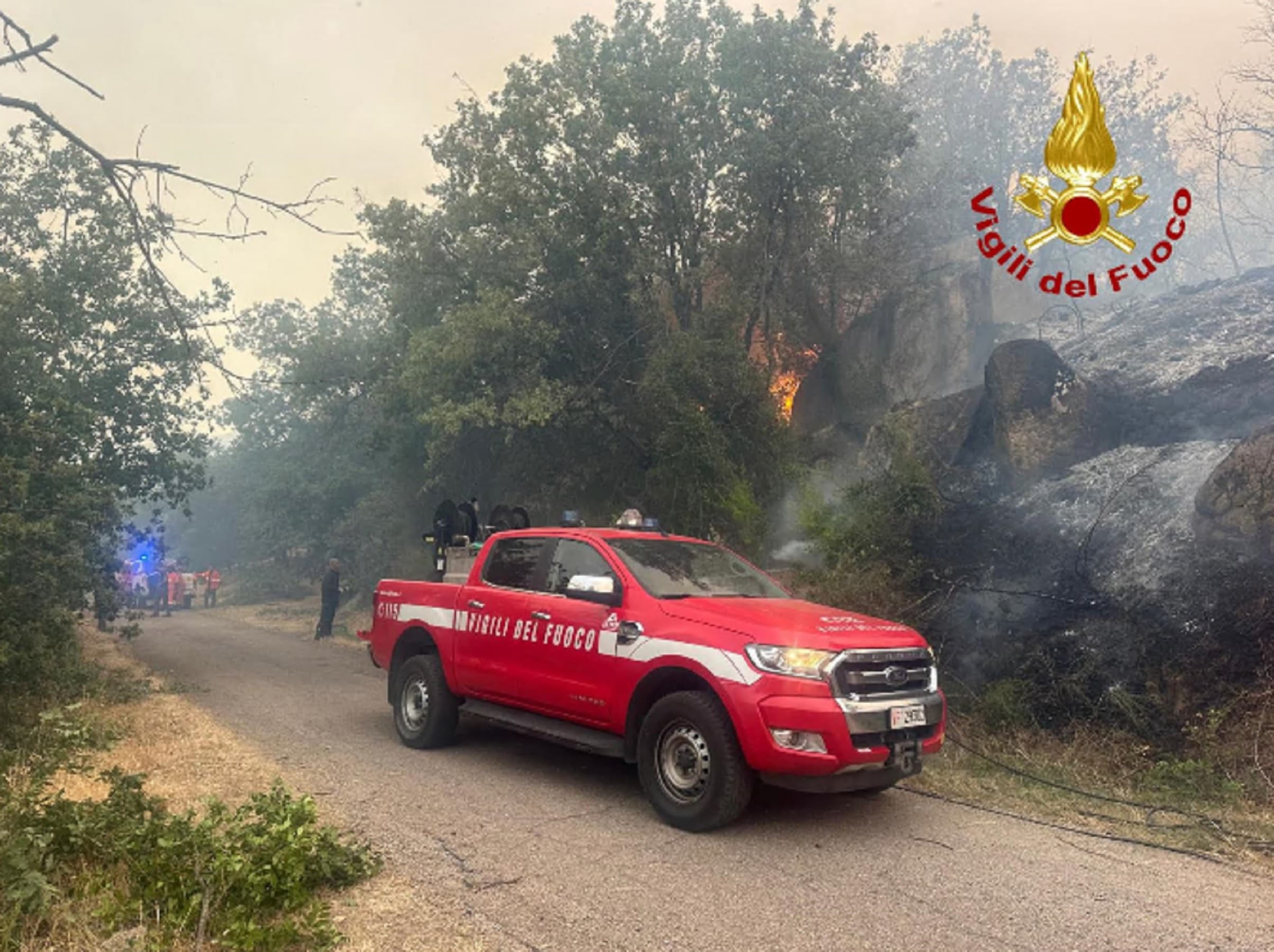 Incendi in Sicilia, roghi da Palermo a Messina: 500 sfollati a Sciacca