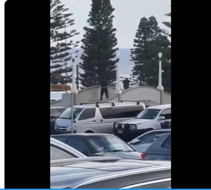 Sparatoria a Bondi Beach in Australia: 15 vittime e 29 feriti. Gli attentatori sono padre e figlio: il primo è morto, il secondo è in ospedale
