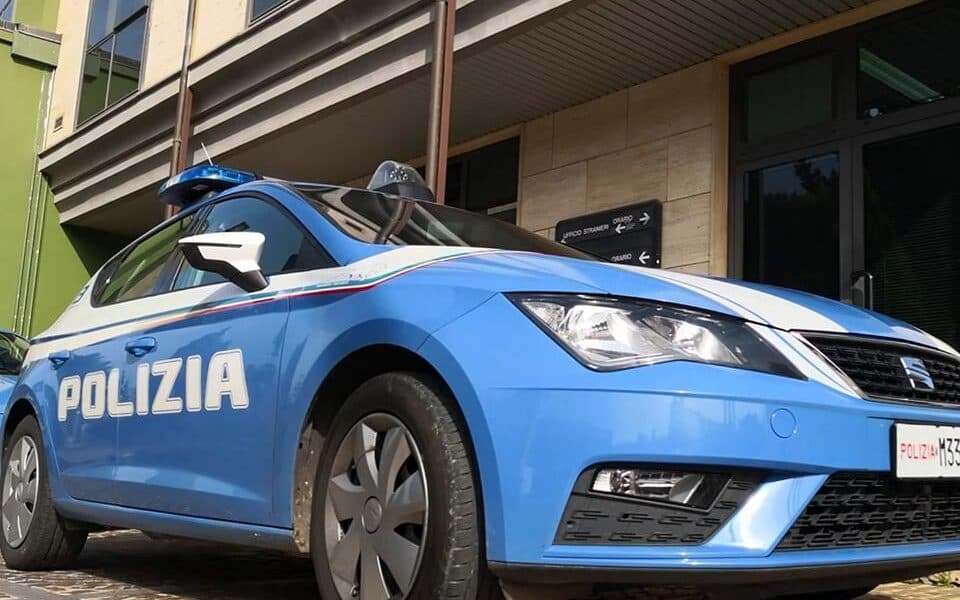 Vibo Valentia, ucciso un volatile con una carabina ad aria compressa: una denuncia