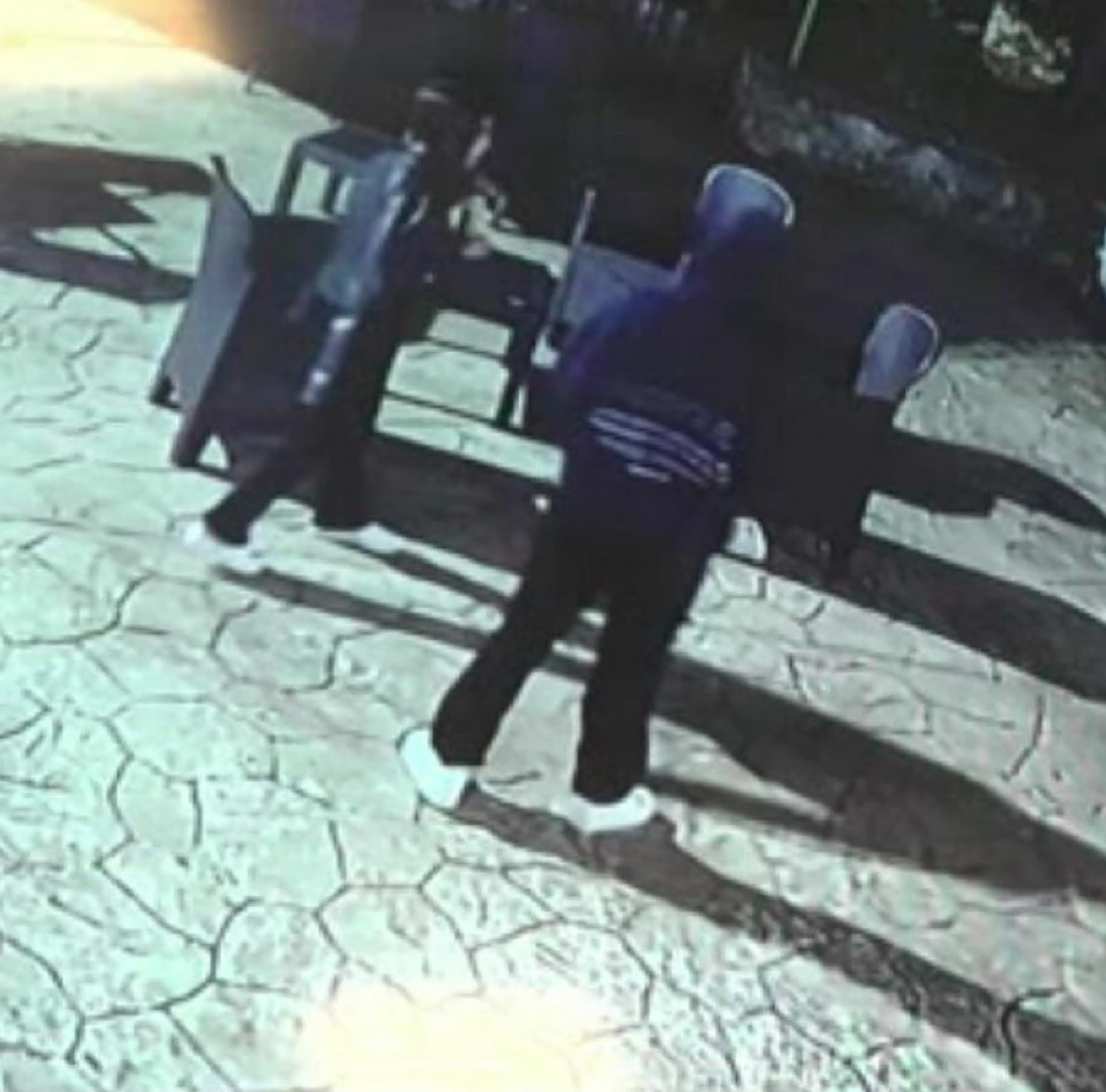 Sarah e Alisya scomparse nel Parco d'Abruzzo: si rafforza l'ipotesi dell'allontanamento programmato
