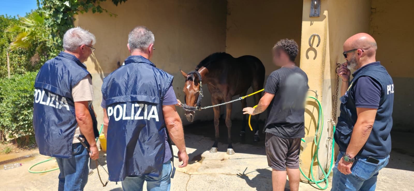 Caltagirone, sventata una corsa clandestina di cavalli sulla statale: calesse pronto al via e denunce
