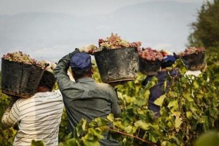 Via libera finale dell'Eurocamera alla stretta sui rimpatri. Meloni: "Testo Ue rimpatri segue strada Italia"