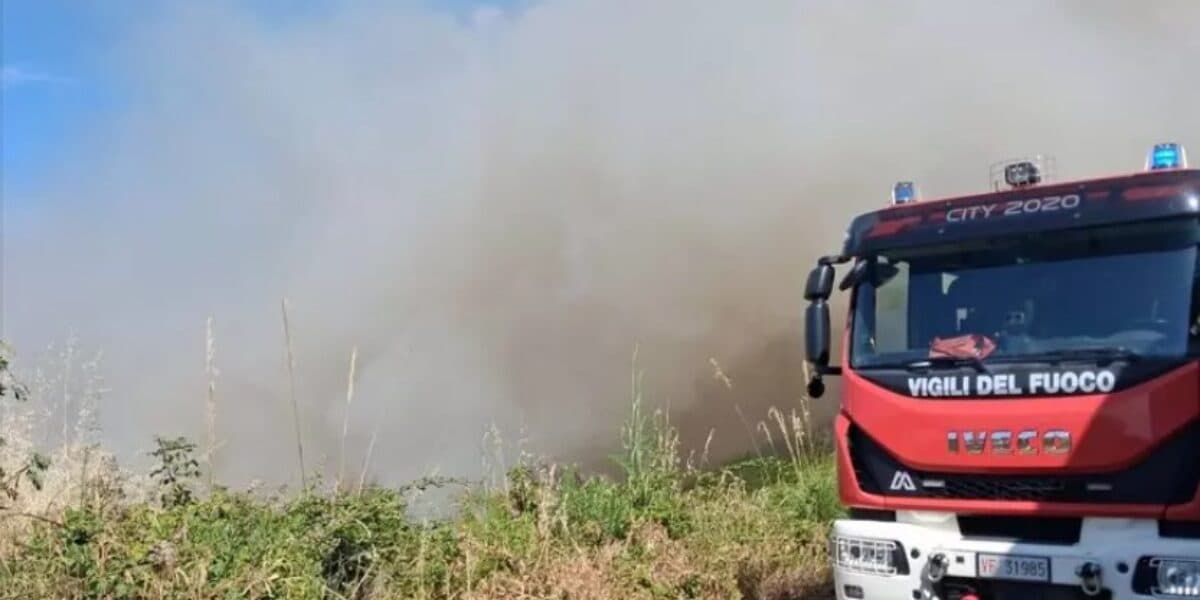 Paura per i cani del rifugio Argo a Vibo, scatta la mobilitazione dopo l'incendio