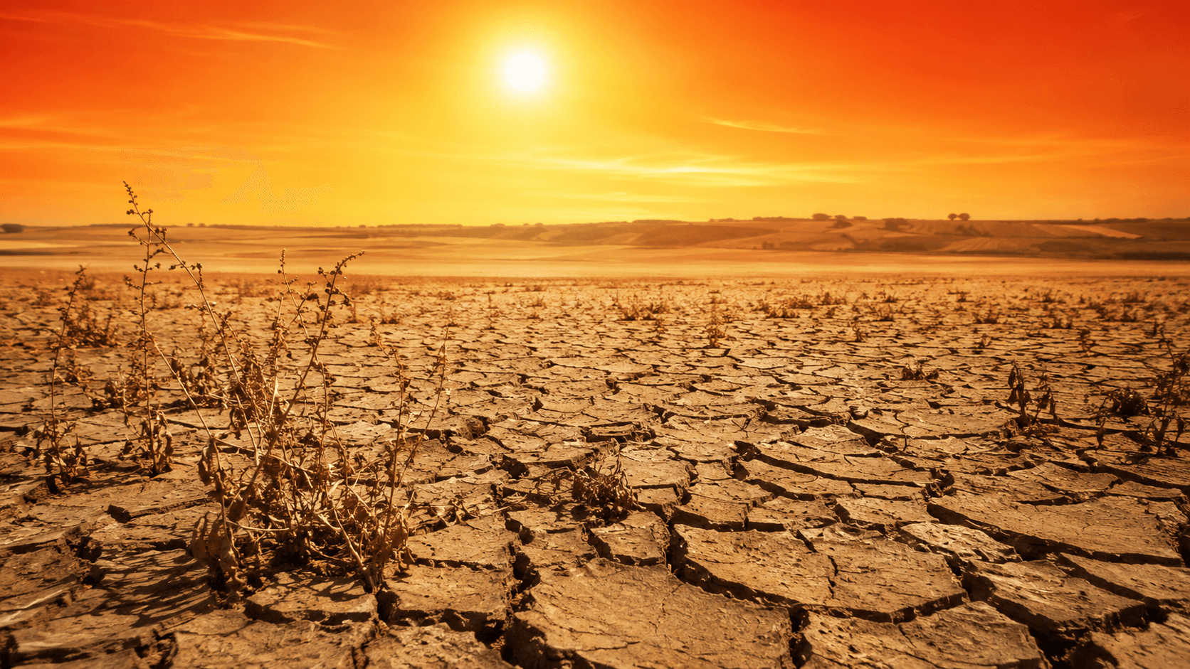 Clima, El Nino persisterà fino a febbraio. L'Onu: "Il pianeta è in grave pericolo"