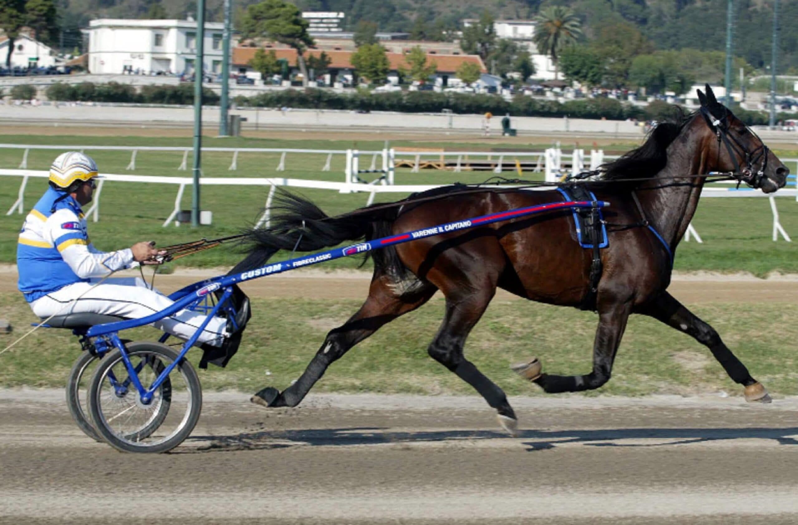 E' morto Varenne, il cavallo trottatore più forte di sempre: aveva 31 anni