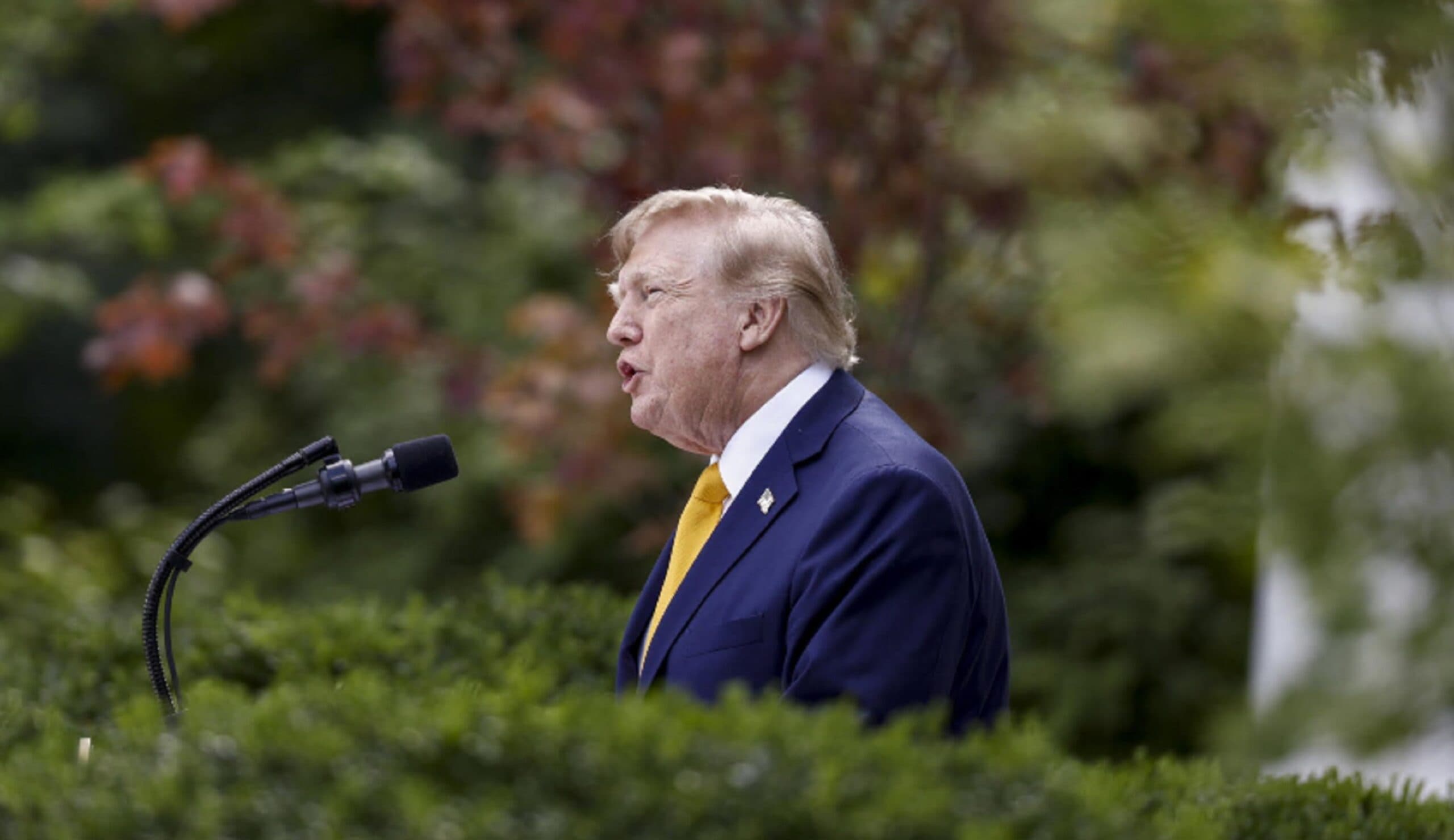 Primarie Usa, Trump respira: vittorie in Carolina del Sud e Oklahoma