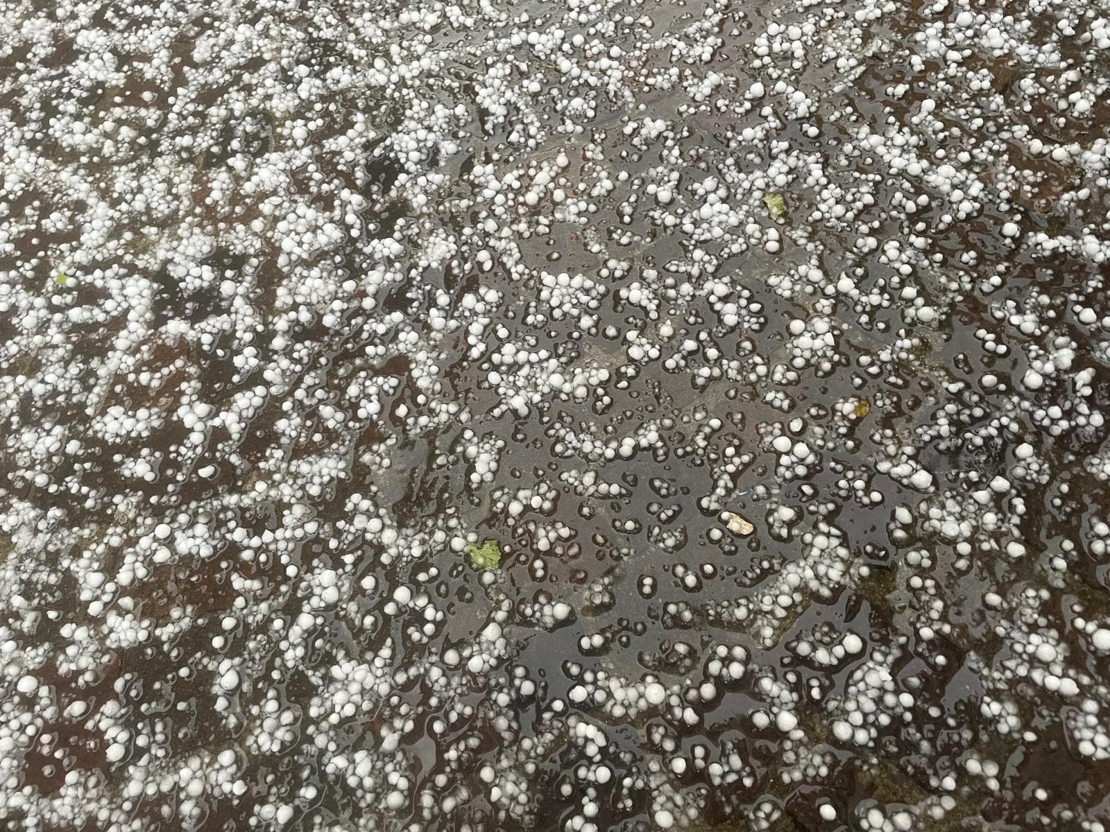 Meteo: l'ondata di caldo ha i giorni contati, in arrivo forti temporali e grandine