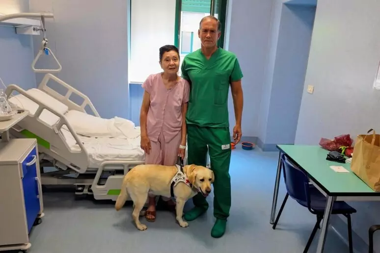 Torna a vedere dopo 5 anni di cecità: eseguito a Torino il primo autotrapianto al mondo di retina e cornea