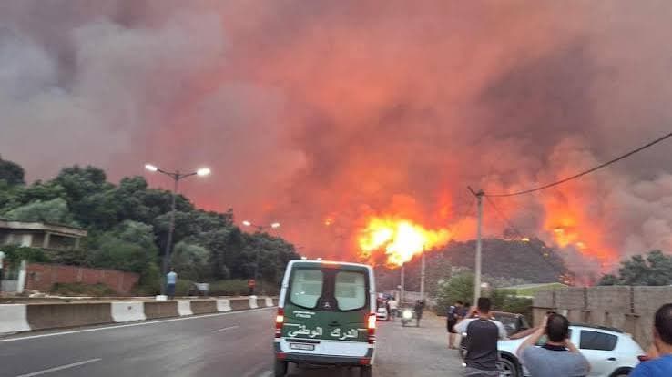 Incendi devastanti in Algeria: il bilancio sale a 69 morti e numerosi feriti